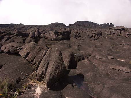 a view 
of the top of roraima